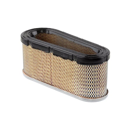 Briggs & Stratton Air Filter 496894S